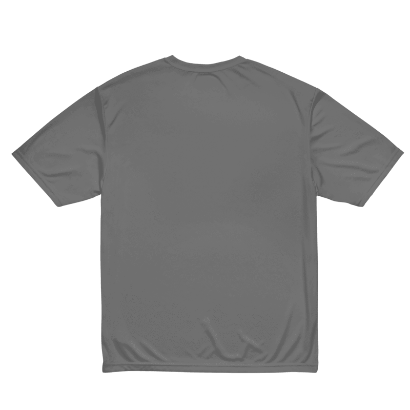 Unisex Performance Crew Neck T-Shirt | A4 N3142