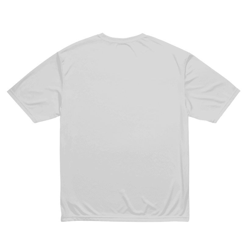 Unisex Performance Crew Neck T-Shirt | A4 N3142